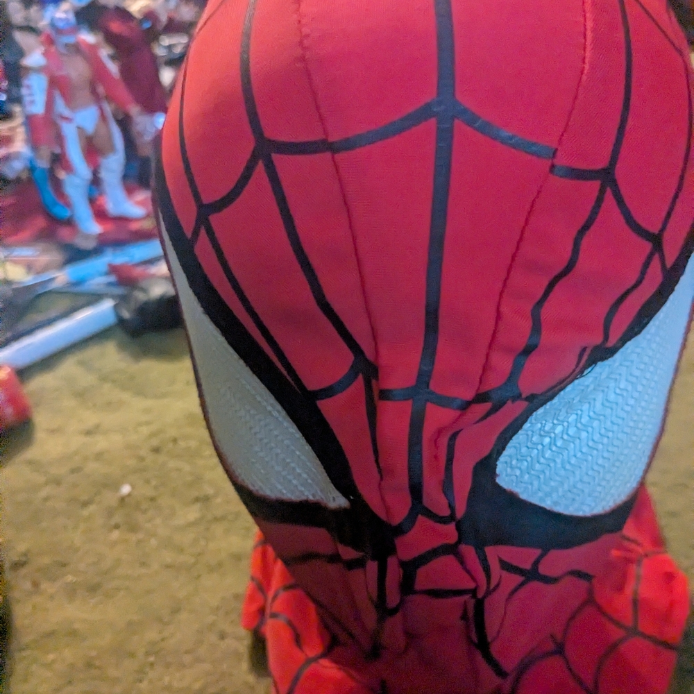 Spider Hero Red and Black Kids Costume